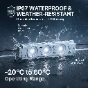 module-string-light-3.webp