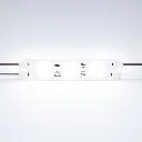 module-string-light-10.webp