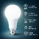 bulb-6.webp