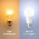 bulb-4.webp