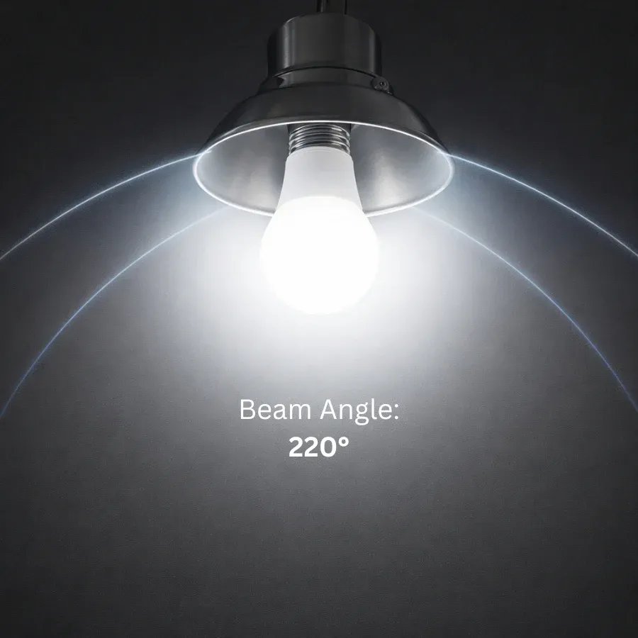 bulb-3.webp