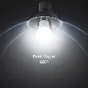 bulb-3.webp