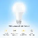 bulb-2.webp