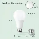 bulb-5.webp